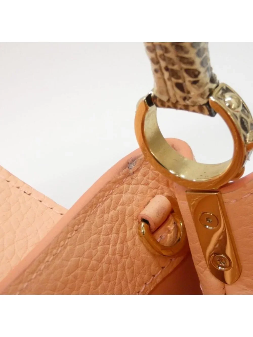 Louis Vuitton Exotic Leather Capucines Mini